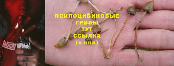 кокаин колумбия Дмитриев