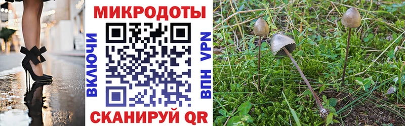 Галлюциногенные грибы прущие грибы  ссылка на мегу сайт  нарко площадка клад  Нефтеюганск 